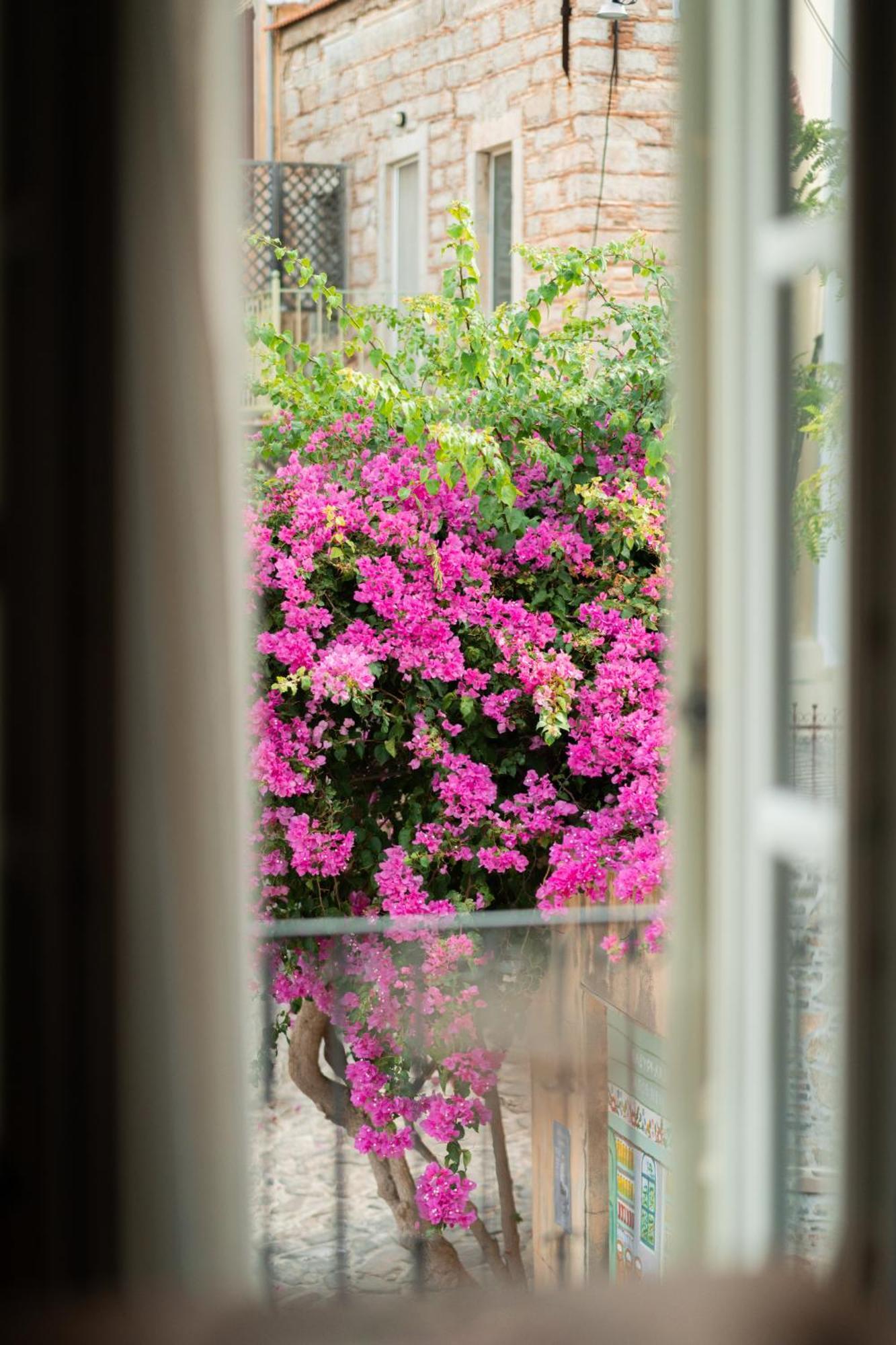 My Volissos Apartments Bagian luar foto